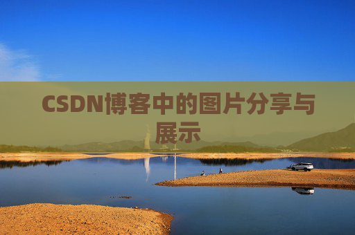 CSDN博客中的图片分享与展示
